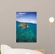 Hawaii, Green Sea Turtle An Endangered Species Wall Mural
