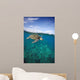 Hawaii, Green Sea Turtle An Endangered Species Wall Mural