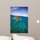 Hawaii, Green Sea Turtle An Endangered Species Wall Mural