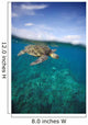 Hawaii, Green Sea Turtle An Endangered Species Wall Mural