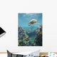 Hawaii, Green Sea Turtle An Endangered Species Wall Mural