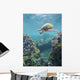 Hawaii, Green Sea Turtle An Endangered Species Wall Mural