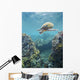 Hawaii, Green Sea Turtle An Endangered Species Wall Mural