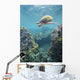Hawaii, Green Sea Turtle An Endangered Species Wall Mural