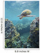 Hawaii, Green Sea Turtle An Endangered Species Wall Mural