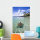 Hawaii, Green Sea Turtle An Endangered Species Wall Mural