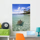 Hawaii, Green Sea Turtle An Endangered Species Wall Mural