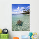 Hawaii, Green Sea Turtle An Endangered Species Wall Mural