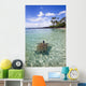 Hawaii, Green Sea Turtle An Endangered Species Wall Mural