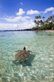Hawaii, Green Sea Turtle An Endangered Species Wall Mural