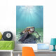 Hawaii, Green Sea Turtle An Endangered Species Wall Mural