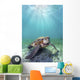 Hawaii, Green Sea Turtle An Endangered Species Wall Mural