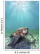 Hawaii, Green Sea Turtle An Endangered Species Wall Mural
