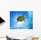 Hawaii, Green Sea Turtle An Endangered Species Wall Mural