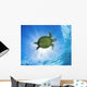 Hawaii, Green Sea Turtle An Endangered Species Wall Mural