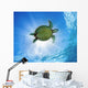 Hawaii, Green Sea Turtle An Endangered Species Wall Mural