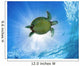 Hawaii, Green Sea Turtle An Endangered Species Wall Mural