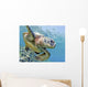 Hawaii, Green Sea Turtle An Endangered Species Wall Mural