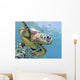 Hawaii, Green Sea Turtle An Endangered Species Wall Mural