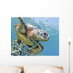 Hawaii, Green Sea Turtle An Endangered Species Wall Mural