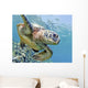 Hawaii, Green Sea Turtle An Endangered Species Wall Mural