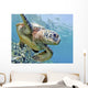 Hawaii, Green Sea Turtle An Endangered Species Wall Mural
