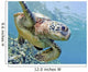 Hawaii, Green Sea Turtle An Endangered Species Wall Mural