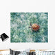 Hawaii, Green Sea Turtle An Endangered Species Wall Mural