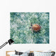 Hawaii, Green Sea Turtle An Endangered Species Wall Mural