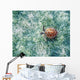 Hawaii, Green Sea Turtle An Endangered Species Wall Mural
