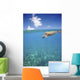 Hawaii, Green Sea Turtle An Endangered Species Wall Mural