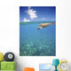 Hawaii, Green Sea Turtle An Endangered Species Wall Mural