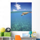 Hawaii, Green Sea Turtle An Endangered Species Wall Mural