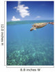 Hawaii, Green Sea Turtle An Endangered Species Wall Mural