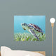 Hawaii, Green Sea Turtle An Endangered Species Wall Mural