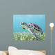 Hawaii, Green Sea Turtle An Endangered Species Wall Mural