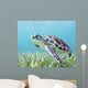 Hawaii, Green Sea Turtle An Endangered Species Wall Mural