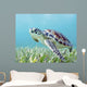 Hawaii, Green Sea Turtle An Endangered Species Wall Mural