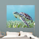Hawaii, Green Sea Turtle An Endangered Species Wall Mural