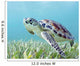 Hawaii, Green Sea Turtle An Endangered Species Wall Mural
