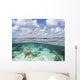 Hawaii, Green Sea Turtle An Endangered Species Wall Mural