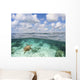 Hawaii, Green Sea Turtle An Endangered Species Wall Mural