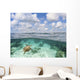 Hawaii, Green Sea Turtle An Endangered Species Wall Mural