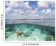 Hawaii, Green Sea Turtle An Endangered Species Wall Mural