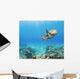 Hawaii, Green Sea Turtle An Endangered Species Wall Mural