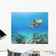Hawaii, Green Sea Turtle An Endangered Species Wall Mural