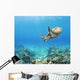 Hawaii, Green Sea Turtle An Endangered Species Wall Mural