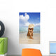 Hawaii, Woman Sitting In The Ocean At A Remote Tropical Location Wall Mural