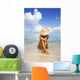 Hawaii, Woman Sitting In The Ocean At A Remote Tropical Location Wall Mural