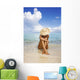 Hawaii, Woman Sitting In The Ocean At A Remote Tropical Location Wall Mural